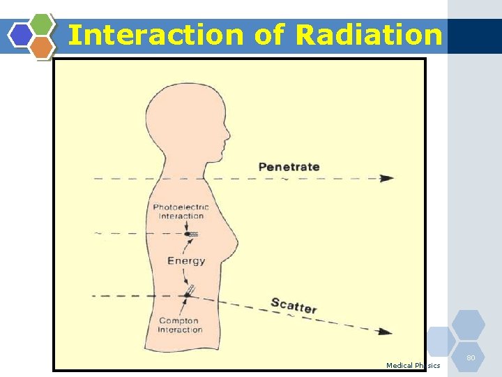 Interaction of Radiation Medical Physics 80 