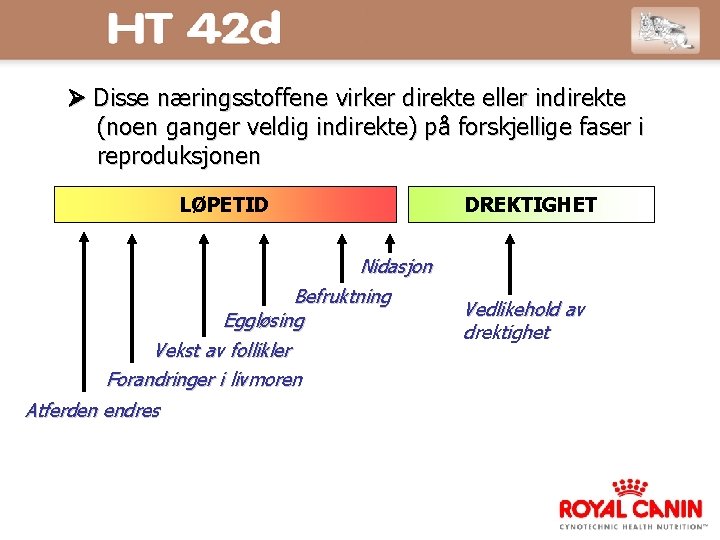  Disse næringsstoffene virker direkte eller indirekte (noen ganger veldig indirekte) på forskjellige faser