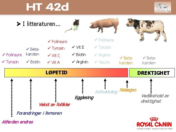  I litteraturen. . . Folinsyre Beta Folinsyre karoten Tyrosin Vit E Tyrosin Vit