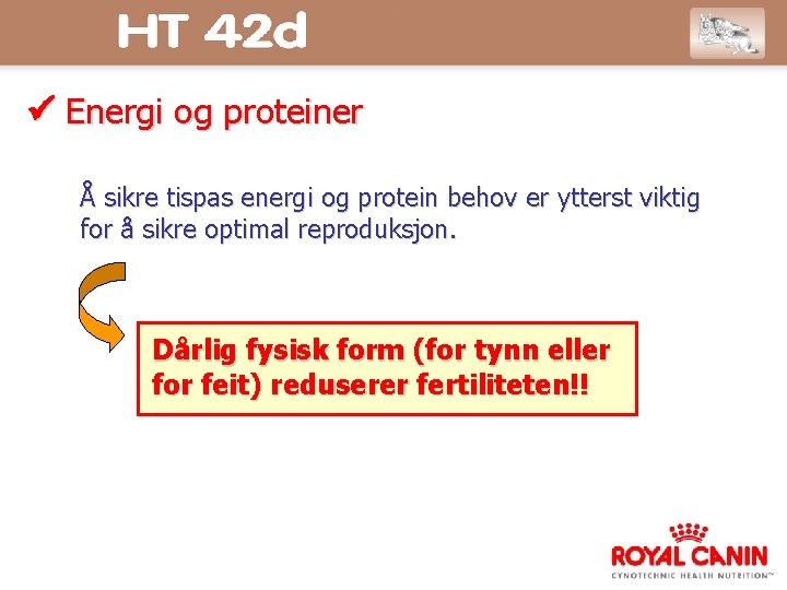  Energi og proteiner Å sikre tispas energi og protein behov er ytterst viktig