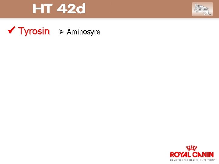  Tyrosin Aminosyre 