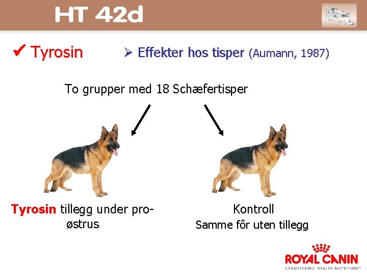  Tyrosin Effekter hos tisper (Aumann, 1987) To grupper med 18 Schæfertisper Tyrosin tillegg