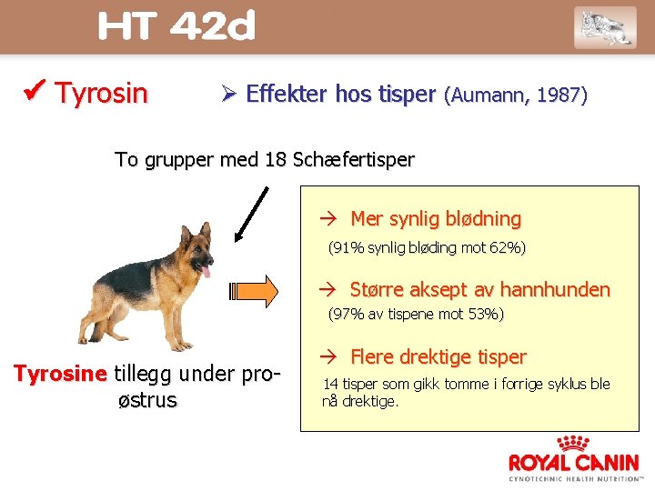  Tyrosin Effekter hos tisper (Aumann, 1987) To grupper med 18 Schæfertisper Mer synlig