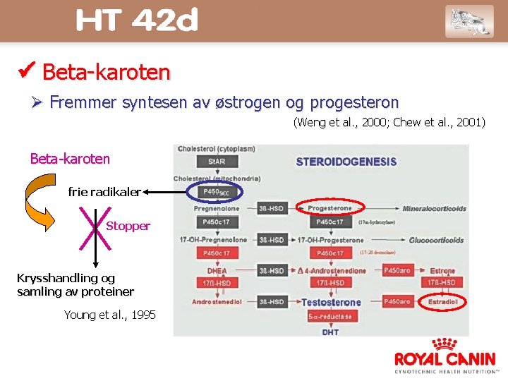  Beta-karoten Fremmer syntesen av østrogen og progesteron (Weng et al. , 2000; Chew