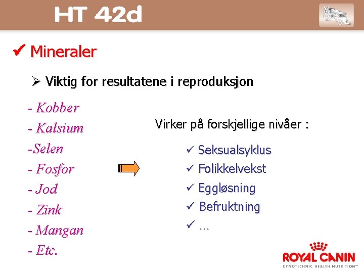  Mineraler Viktig for resultatene i reproduksjon - Kobber - Kalsium -Selen - Fosfor