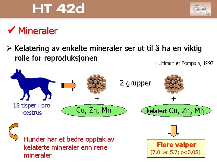  Mineraler Kelatering av enkelte mineraler ser ut til å ha en viktig rolle