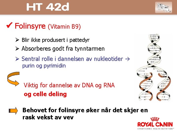  Folinsyre (Vitamin B 9) Blir ikke produsert i pattedyr Absorberes godt fra tynntarmen