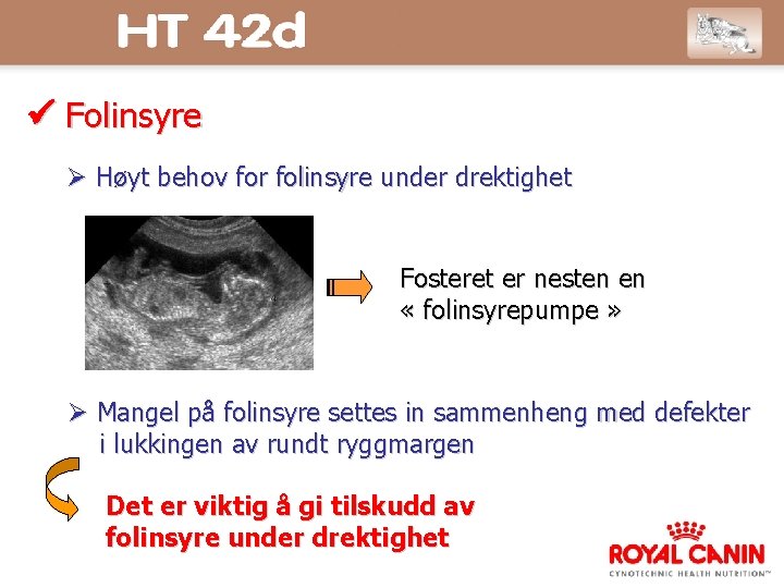  Folinsyre Høyt behov for folinsyre under drektighet Fosteret er nesten en « folinsyrepumpe