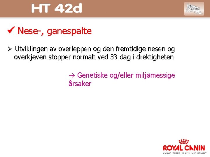  Nese-, ganespalte Utviklingen av overleppen og den fremtidige nesen og overkjeven stopper normalt