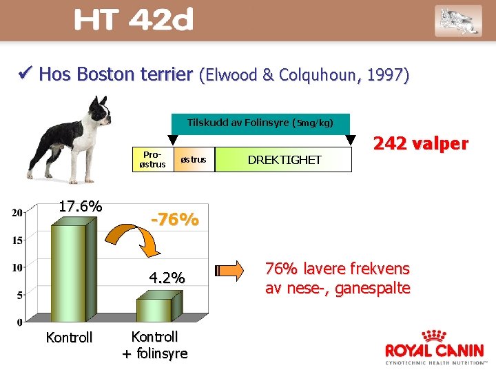  Hos Boston terrier (Elwood & Colquhoun, 1997) Tilskudd av Folinsyre (5 mg/kg) Proøstrus