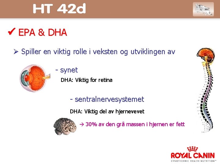  EPA & DHA Spiller en viktig rolle i veksten og utviklingen av -