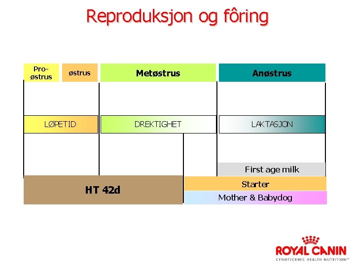 Reproduksjon og fôring Proøstrus LØPETID Metøstrus Anøstrus DREKTIGHET LAKTASJON First age milk HT 42