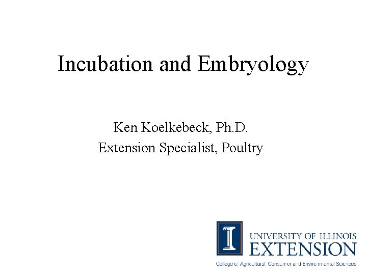 Incubation and Embryology Ken Koelkebeck, Ph. D. Extension Specialist, Poultry 