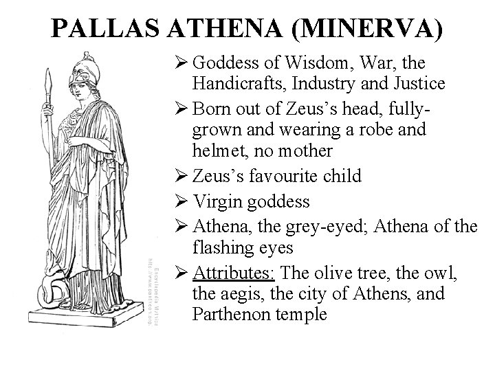 PALLAS ATHENA (MINERVA) Ø Goddess of Wisdom, War, the Handicrafts, Industry and Justice Ø