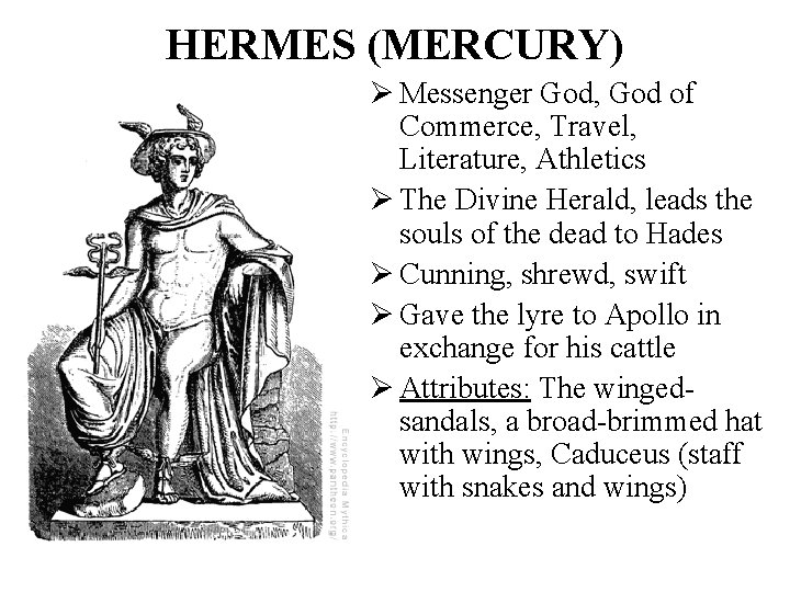 HERMES (MERCURY) Ø Messenger God, God of Commerce, Travel, Literature, Athletics Ø The Divine