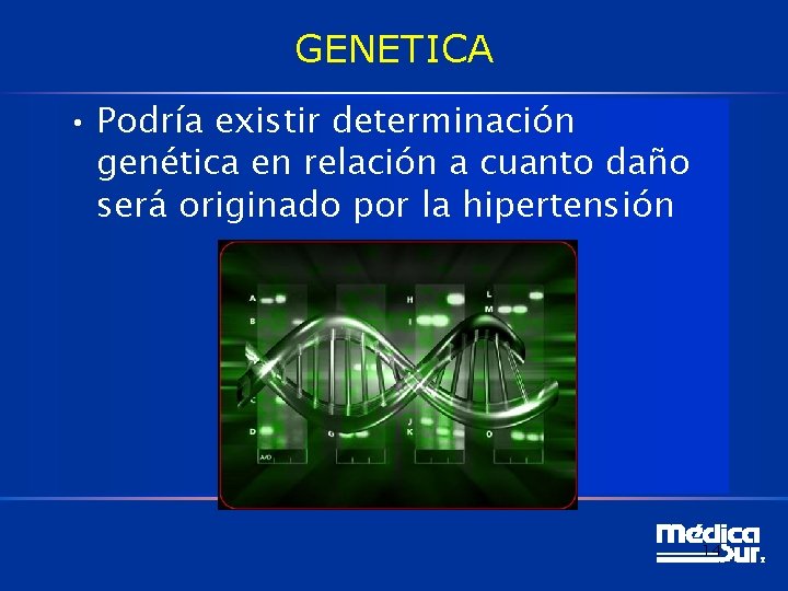 GENETICA • Podría existir determinación genética en relación a cuanto daño será originado por