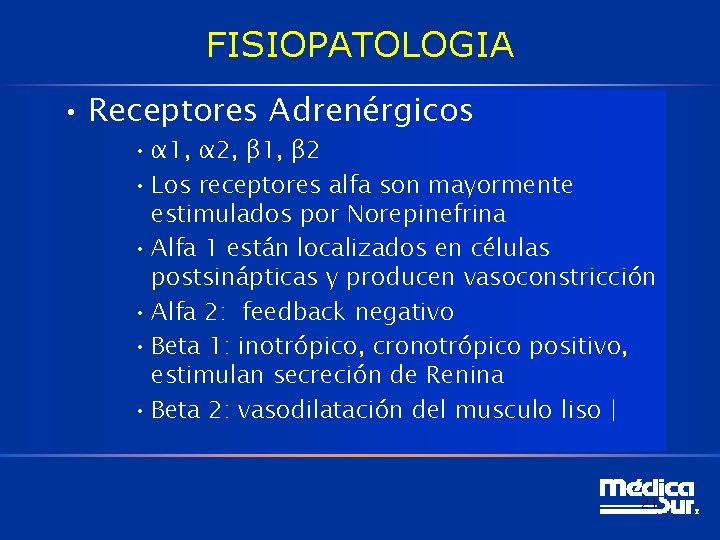 FISIOPATOLOGIA • Receptores Adrenérgicos • α 1, α 2, β 1, β 2 • FISIOPATOLOGIA • Receptores Adrenérgicos • α 1, α 2, β 1, β 2 •