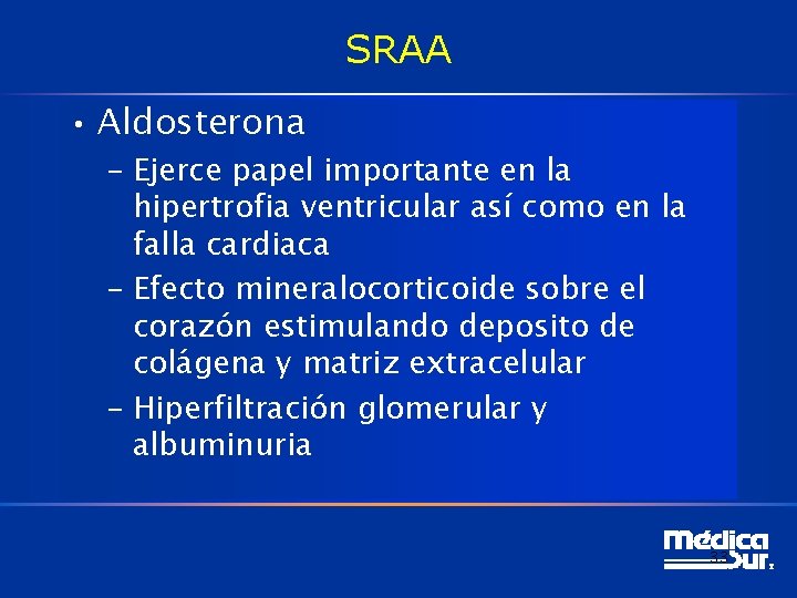 SRAA • Aldosterona – Ejerce papel importante en la hipertrofia ventricular así como en