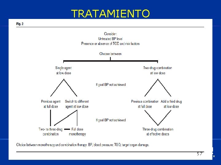 TRATAMIENTO 57 