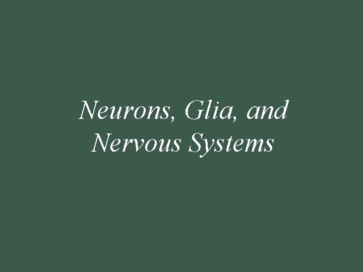 Neurons, Glia, and Nervous Systems 