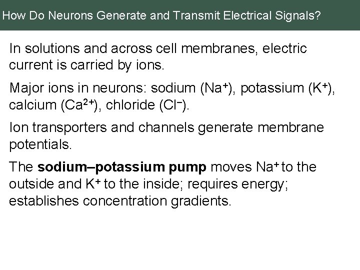 How Do Neurons Generate and Transmit Electrical Signals? In solutions and across cell membranes,