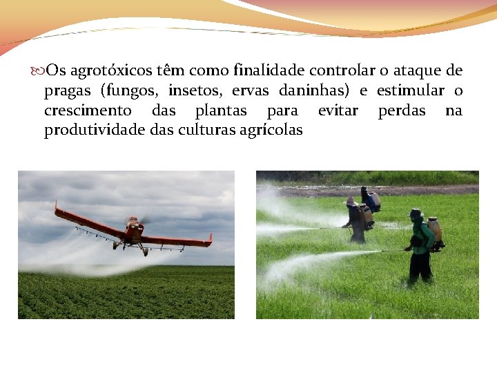  Os agrotóxicos têm como finalidade controlar o ataque de pragas (fungos, insetos, ervas