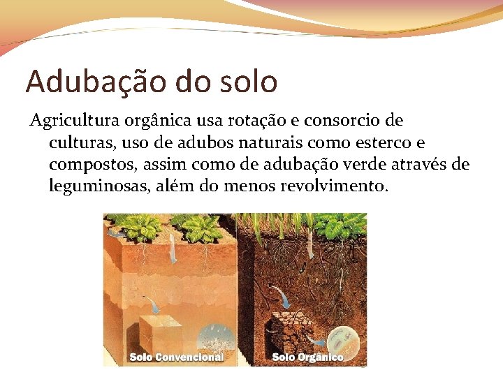 Adubação do solo Agricultura orgânica usa rotação e consorcio de culturas, uso de adubos