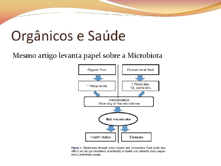 Orgânicos e Saúde Mesmo artigo levanta papel sobre a Microbiota 