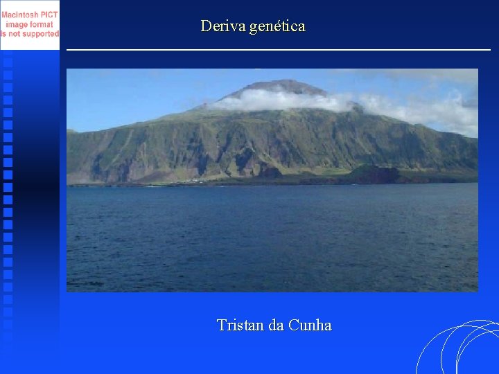 Deriva genética Tristan da Cunha 