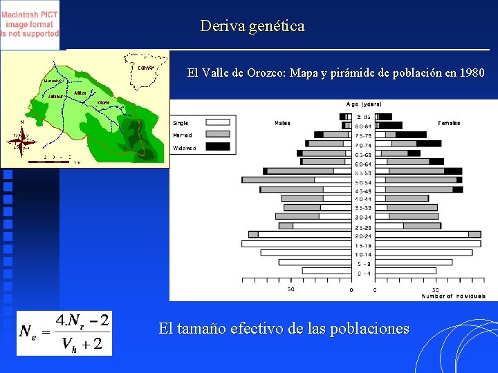 Deriva genética El Valle de Orozco: Mapa y pirámide de población en 1980 El