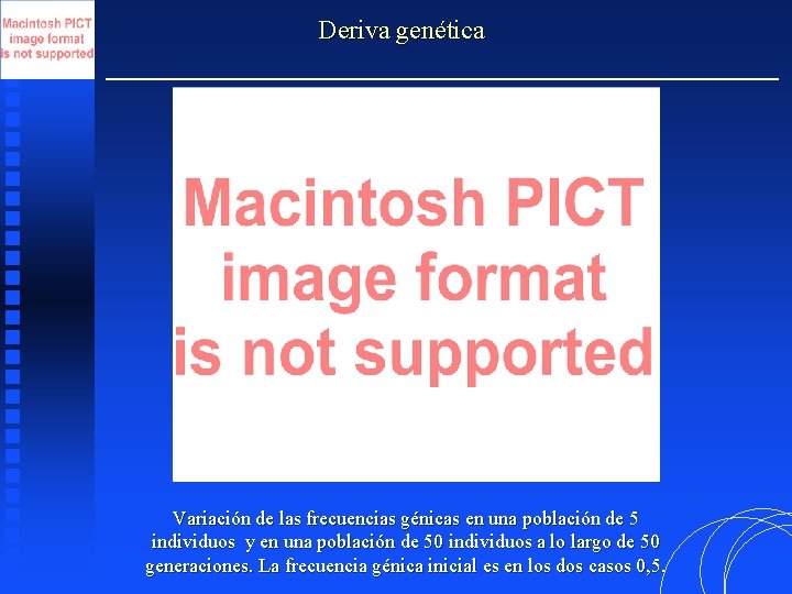 Deriva genética Variación de las frecuencias génicas en una población de 5 individuos y