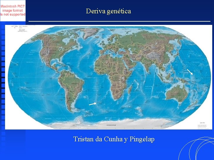 Deriva genética Tristan da Cunha y Pingelap 