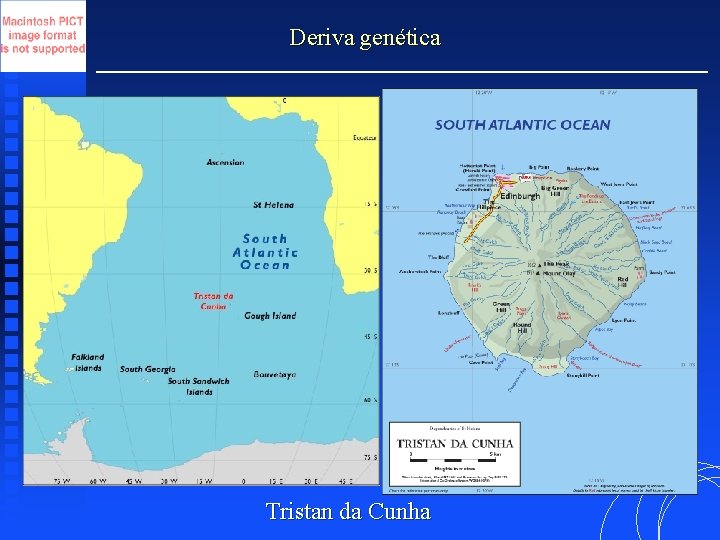 Deriva genética Tristan da Cunha 