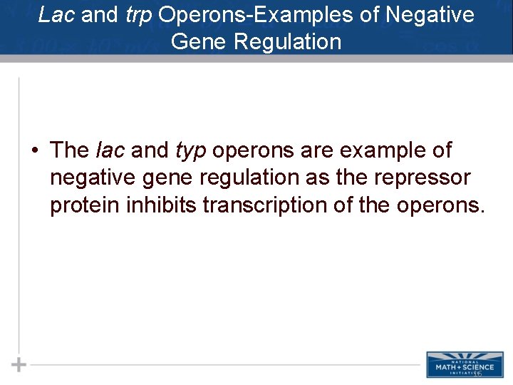 Lac and trp Operons-Examples of Negative Gene Regulation • The lac and typ operons