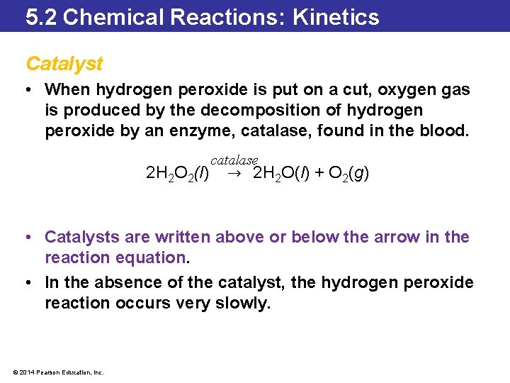 5. 2 Chemical Reactions: Kinetics Catalyst • When hydrogen peroxide is put on a