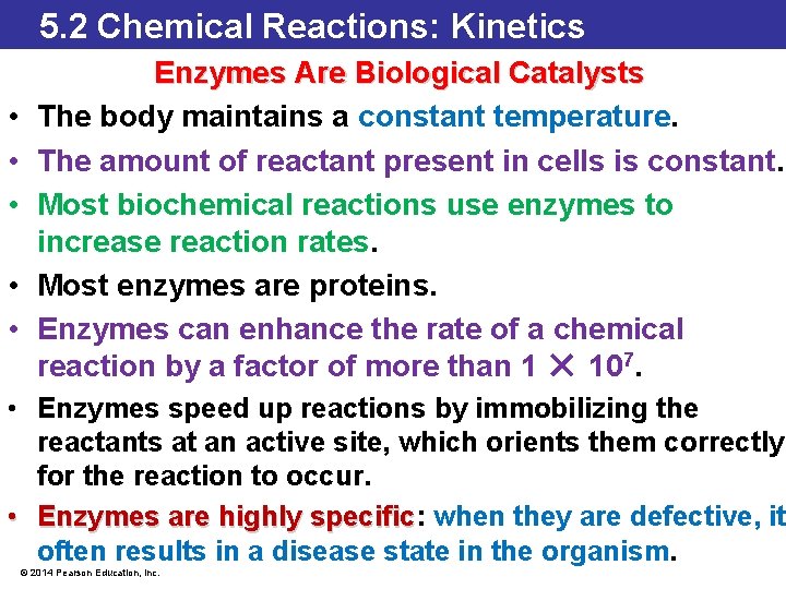 5. 2 Chemical Reactions: Kinetics • • • Enzymes Are Biological Catalysts The body