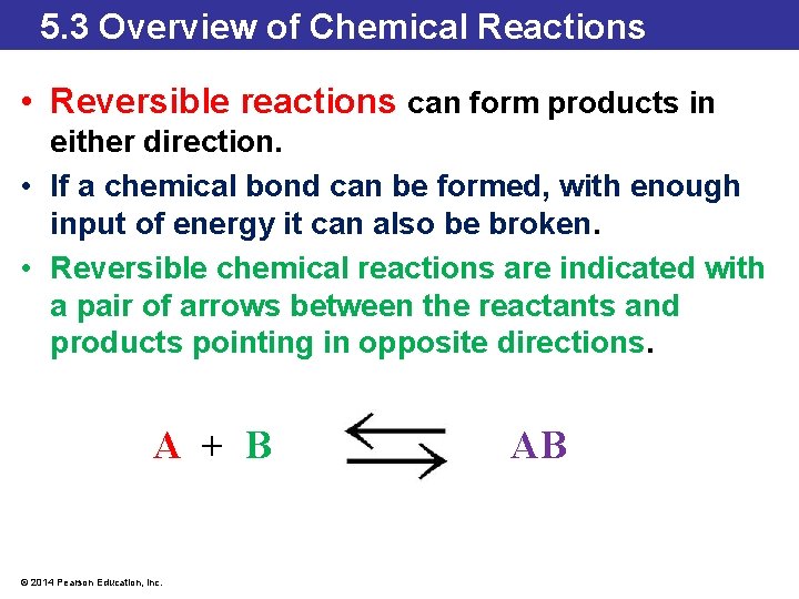 5. 3 Overview of Chemical Reactions • Reversible reactions can form products in either