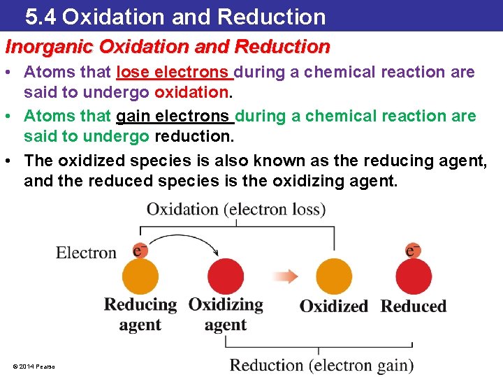 5. 4 Oxidation and Reduction Inorganic Oxidation and Reduction • Atoms that lose electrons