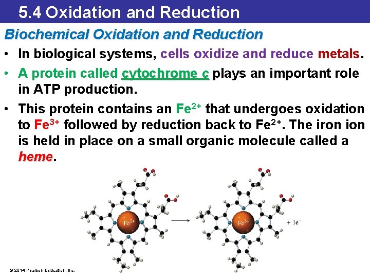 5. 4 Oxidation and Reduction Biochemical Oxidation and Reduction • In biological systems, cells