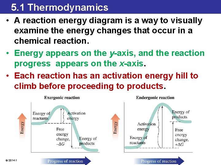 5. 1 Thermodynamics • A reaction energy diagram is a way to visually examine