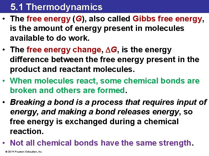 5. 1 Thermodynamics • The free energy (G), also called Gibbs free energy, is