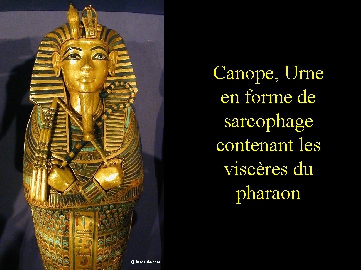 Canope, Urne en forme de sarcophage contenant les viscères du pharaon 