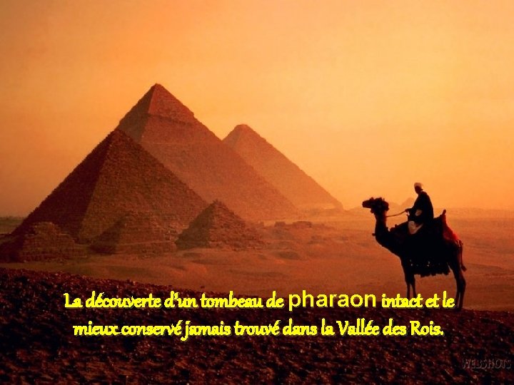 La découverte d’un tombeau de pharaon intact et le mieux conservé jamais trouvé dans