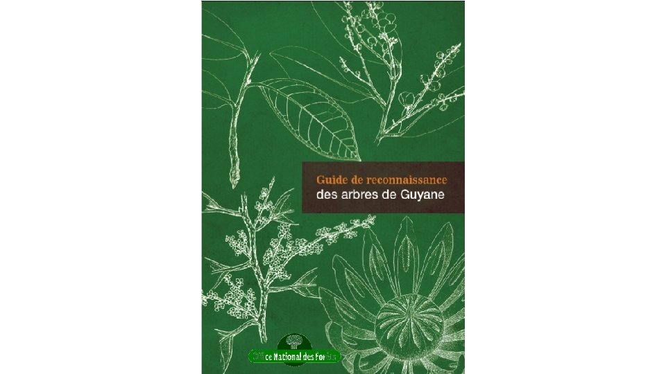 guide de reconnaissance des arbres de guyane 1