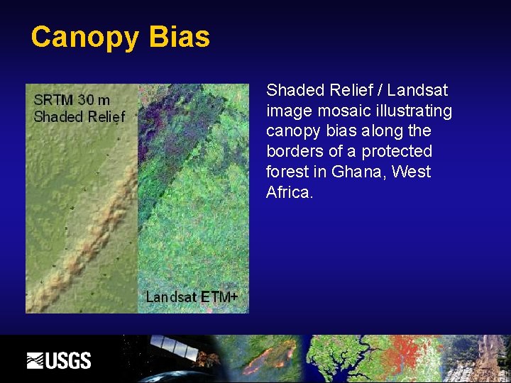 Canopy Bias Shaded Relief / Landsat image mosaic illustrating canopy bias along the borders