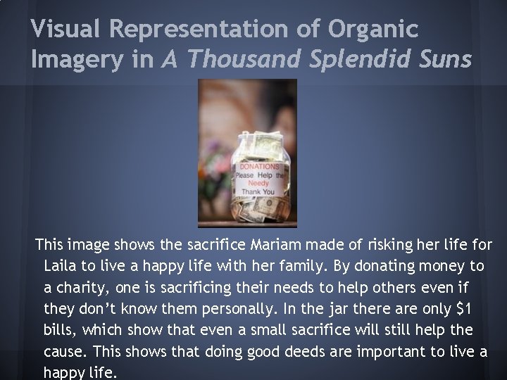Visual Representation of Organic Imagery in A Thousand Splendid Suns This image shows the