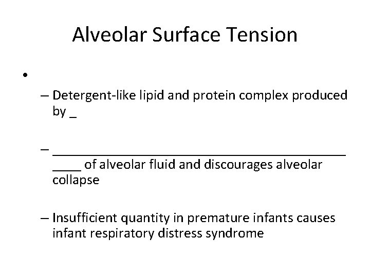 Alveolar Surface Tension • – Detergent-like lipid and protein complex produced by _ –