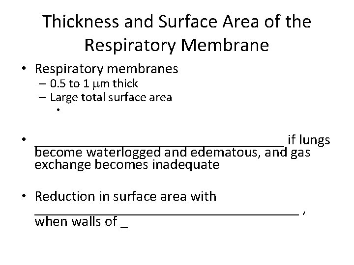 Thickness and Surface Area of the Respiratory Membrane • Respiratory membranes – 0. 5