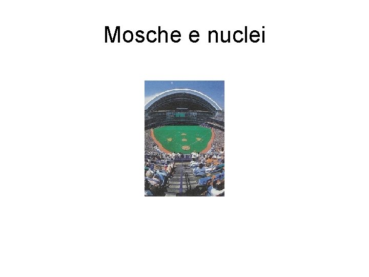 Mosche e nuclei 