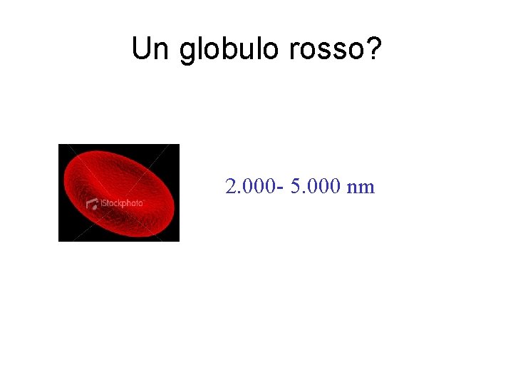 Un globulo rosso? 2. 000 - 5. 000 nm 